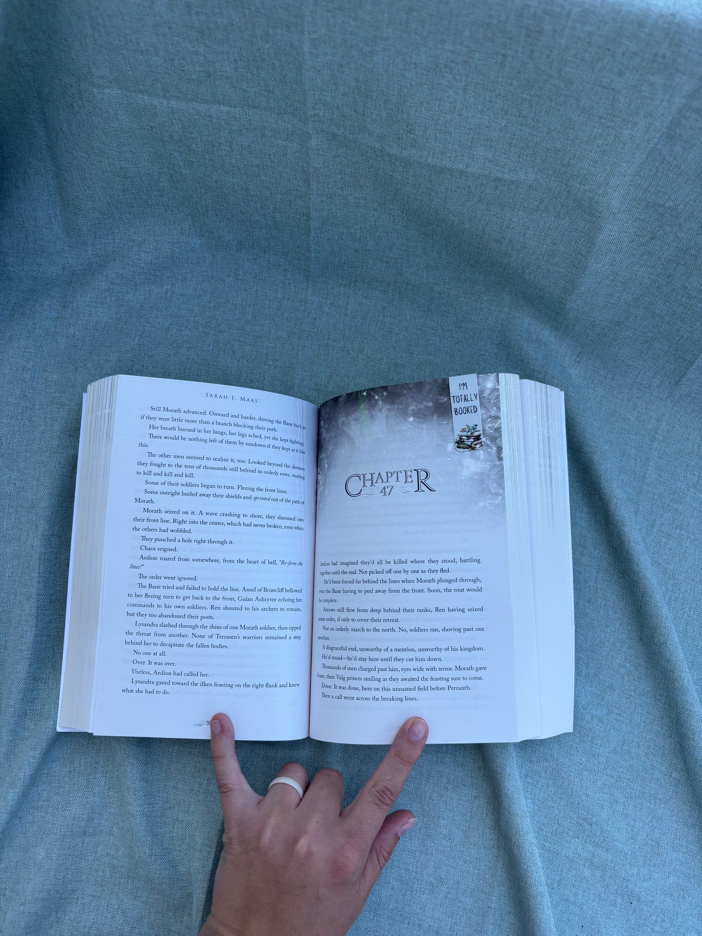 Sleeping Bookstack Cow