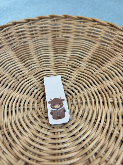 Reading Highland Cow
