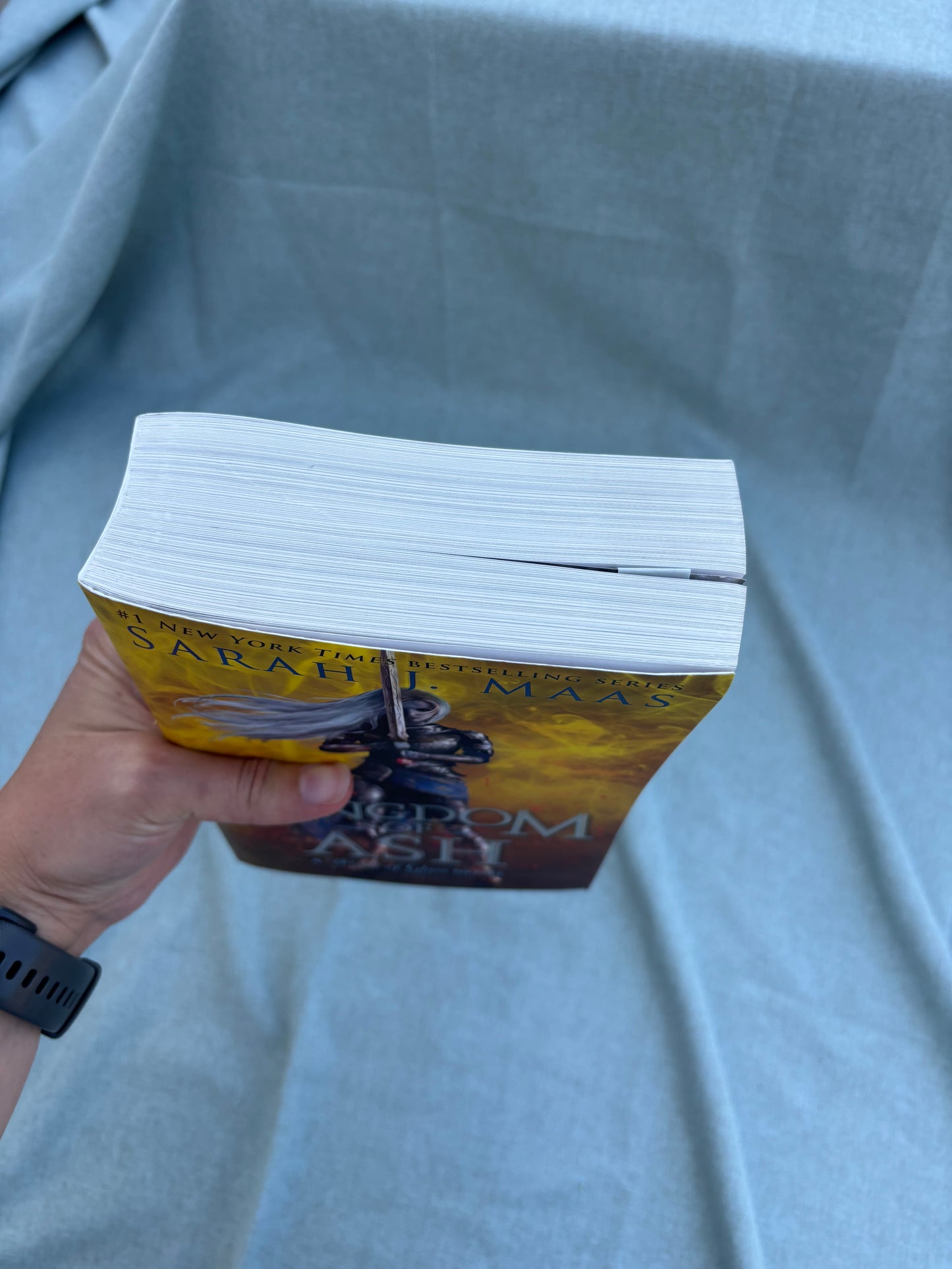 Sleeping Bookstack Cow